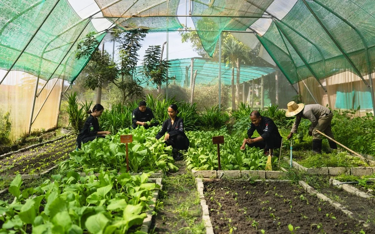 Asia Sustainable Travel_Smiling Gecko_Garden.jpg