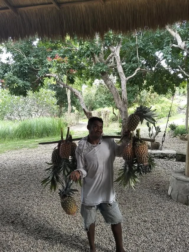 Asia Sustainable Travel_Ngalung Kalla_Pineapple.jpg