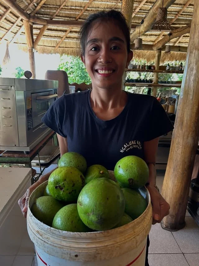 Asia Sustainable Travel_Ngalung Kalla_Avocado.jpg