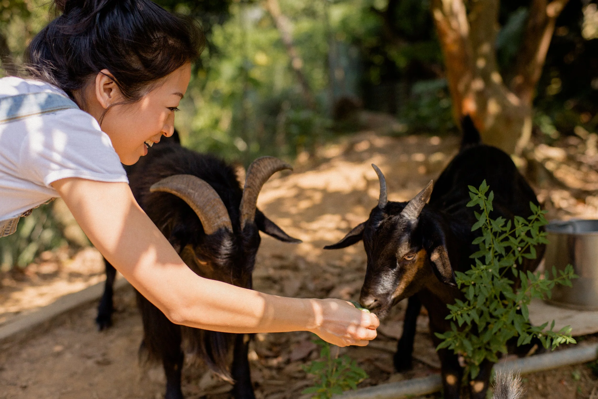 Akho- Peggy at Zen.jpg