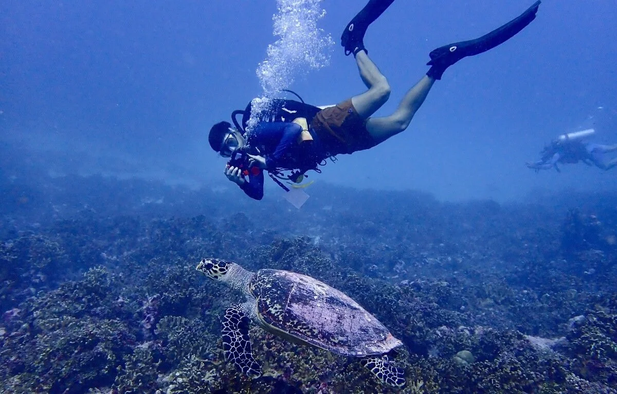 asia-sustainable-travel-secret-paradise-maldives-turtle.jpg
