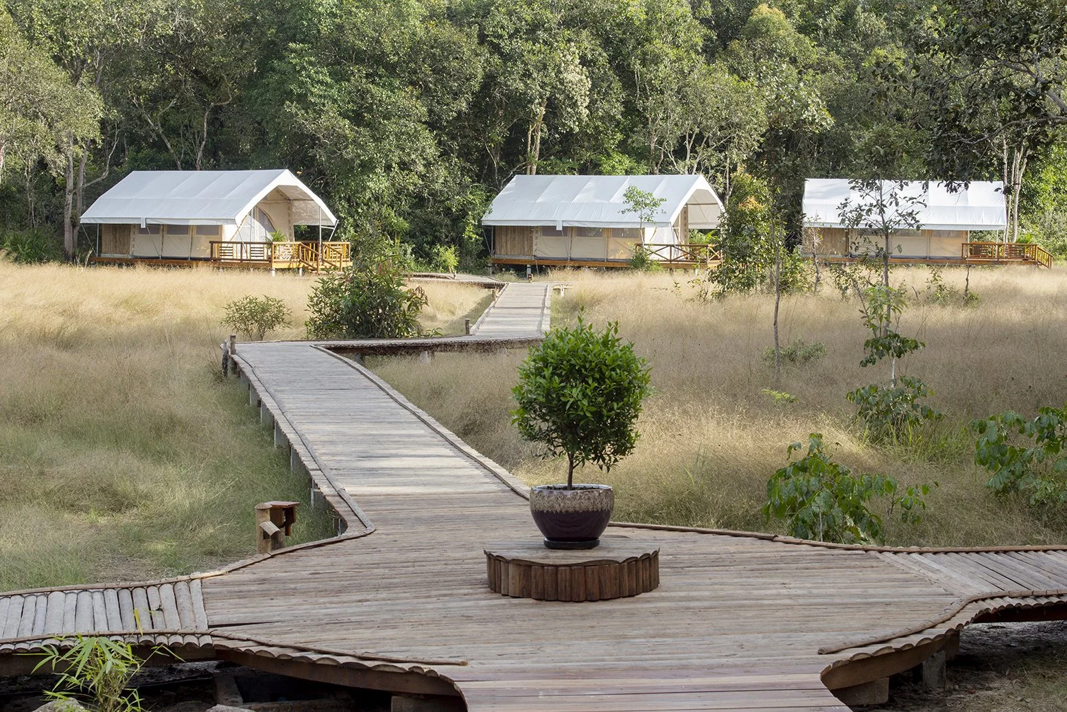 Tents walkway.jpg