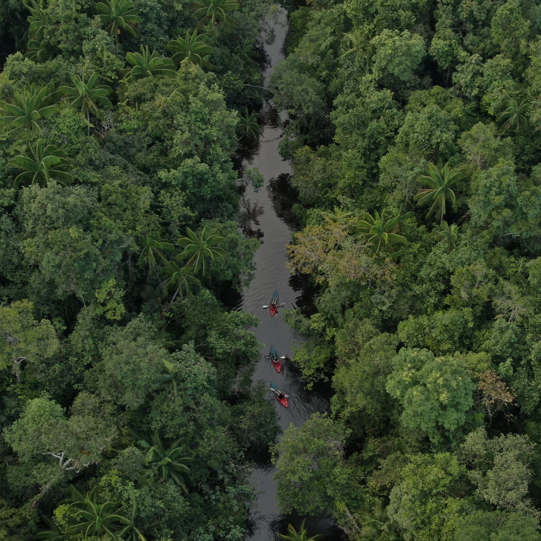 Custodians of the Cardamom Mountains: How a Tented Camp Helps Keep a Forest Standing