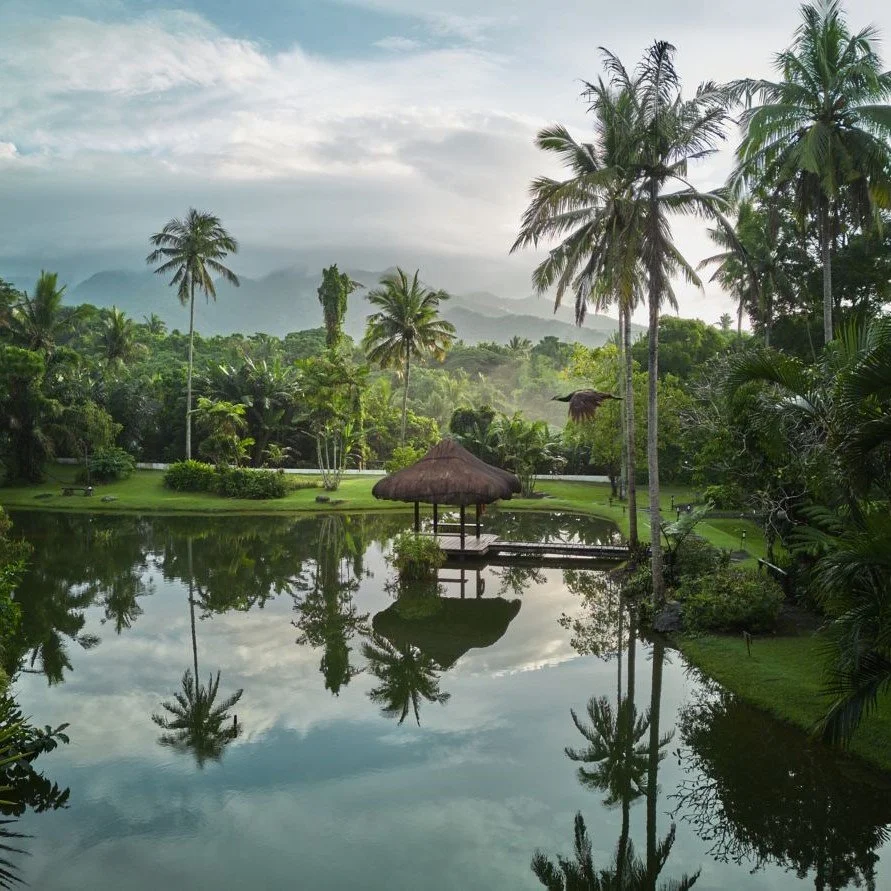 Building Around the Trees: How The Farm at San Benito, Autograph Collection Built a Nature-First Healing Sanctuary
