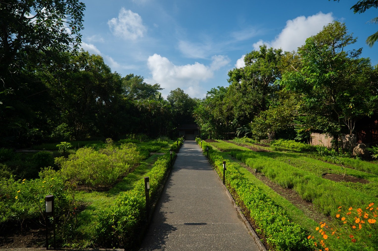 Asia Sustainable Travel - The Farm at San Benito, Autograph Collection - garden 1.JPG
