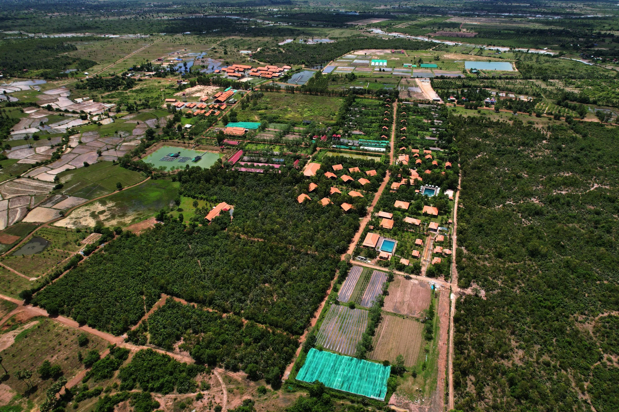 SMILING GECKO CAMPUS.jpg