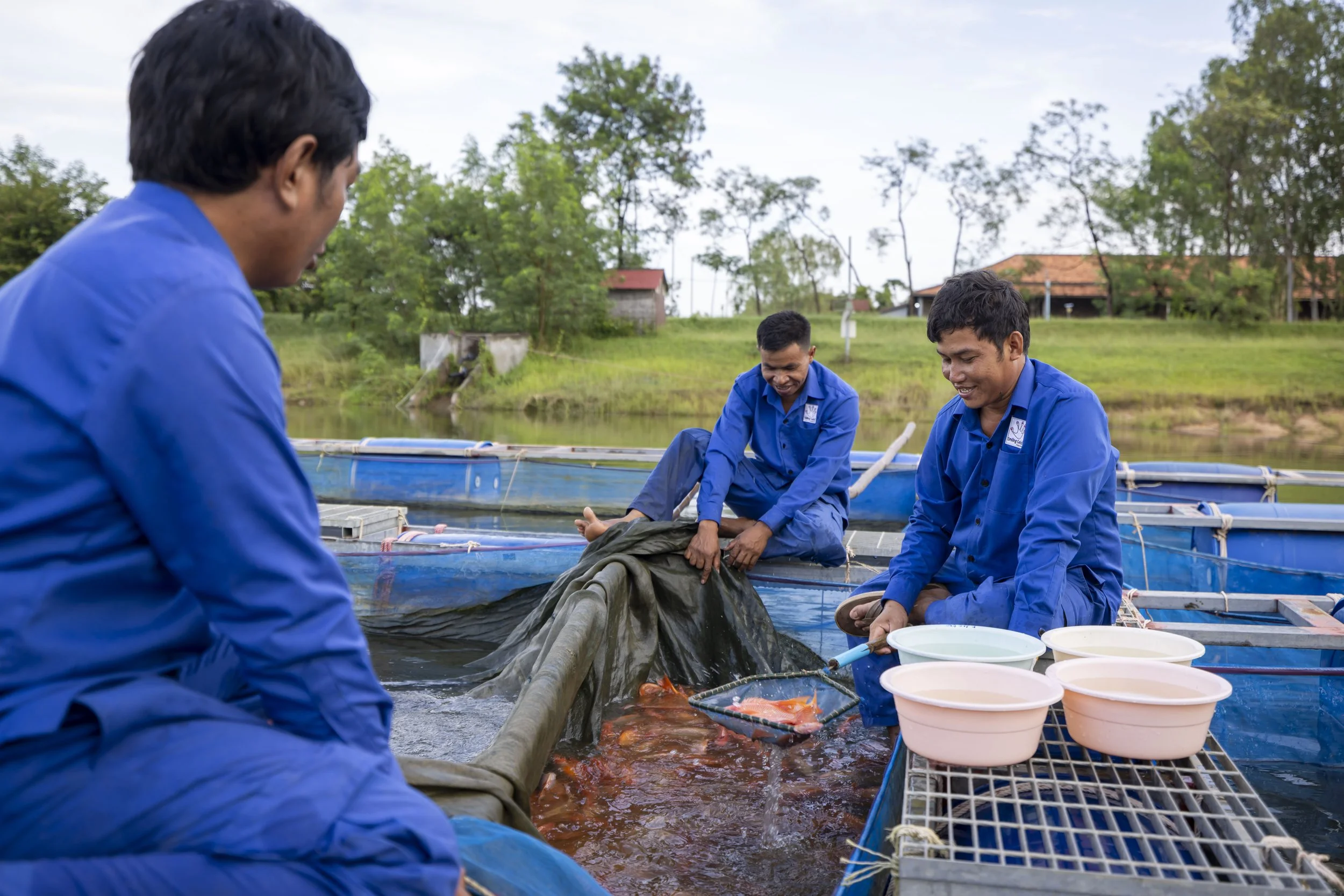 Smiling Gecko – Fish Farming_5.jpg