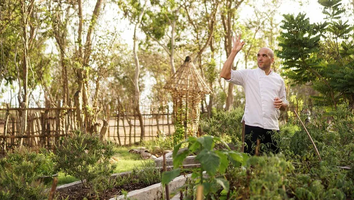 regenerative farming