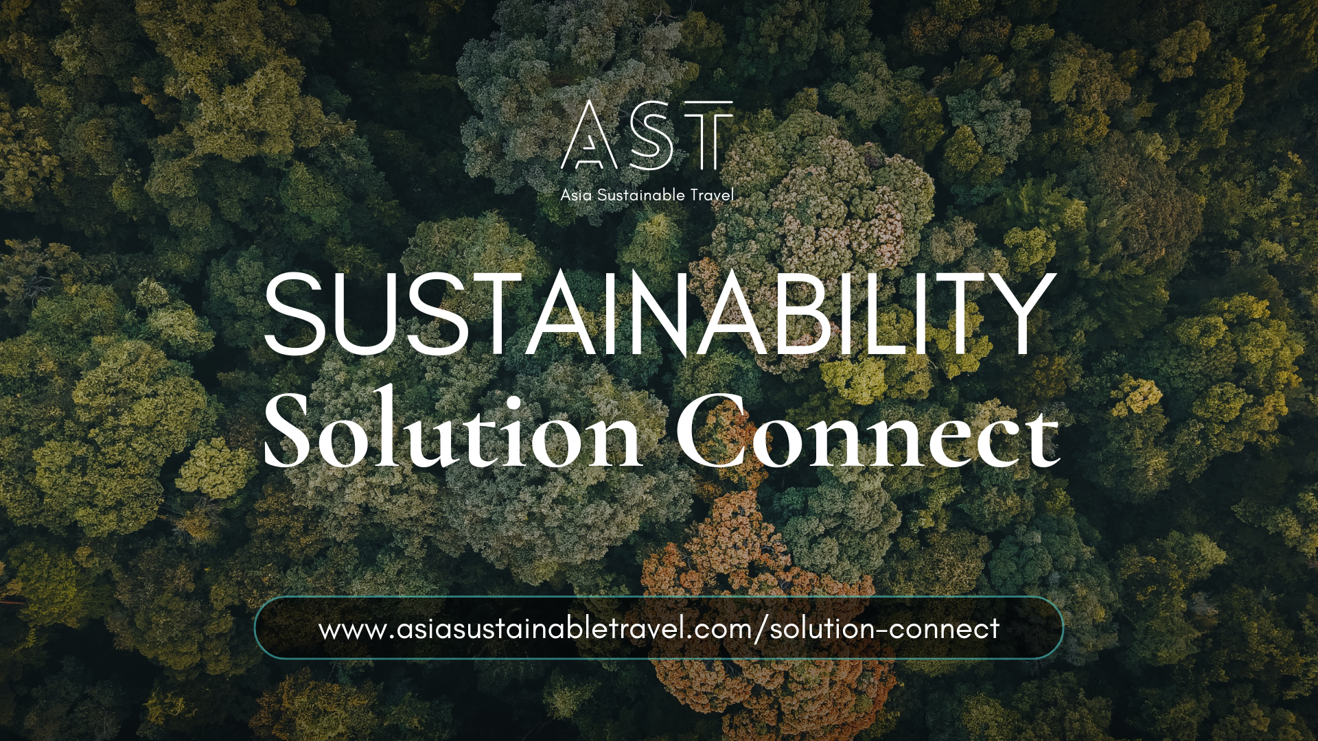 Solution Connect.png