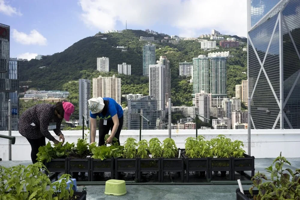 urban farming Hong Kong