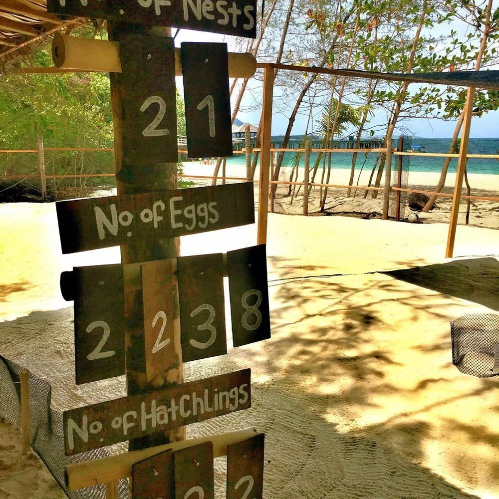 Batu Batu Island in Malaysia, A The Long Run Fellow Member