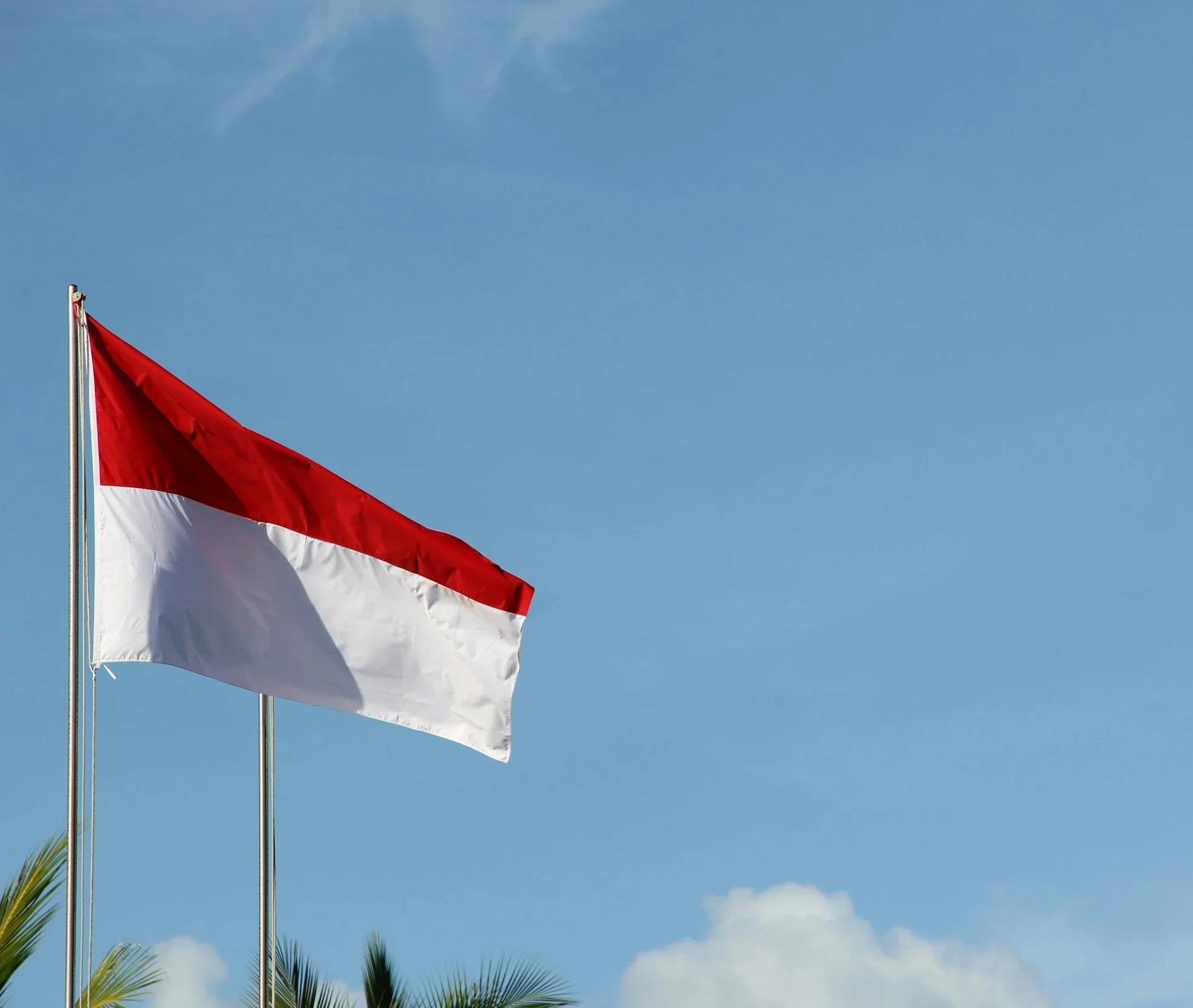 Indonesian flag with red and white stripes flying against a blue sky with some clouds and palm trees in the foreground.