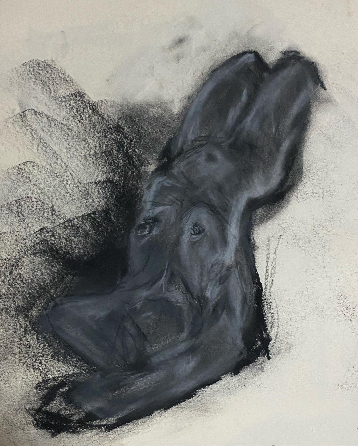 life drawing (2021). charcoal on paper, 29.7 x 42 cm.