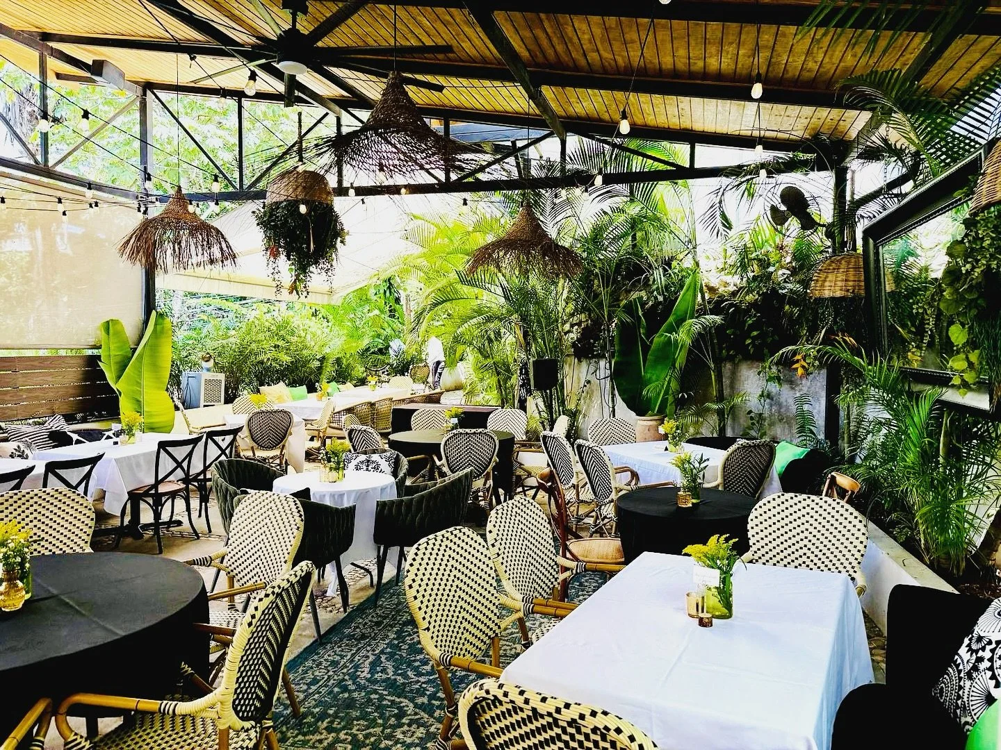 Tropical living 🩵💚
Cozy up in your favorite spot.
#HaitiBites #LeBistro #EatLocal #DrinkLocal #TropicalLiving