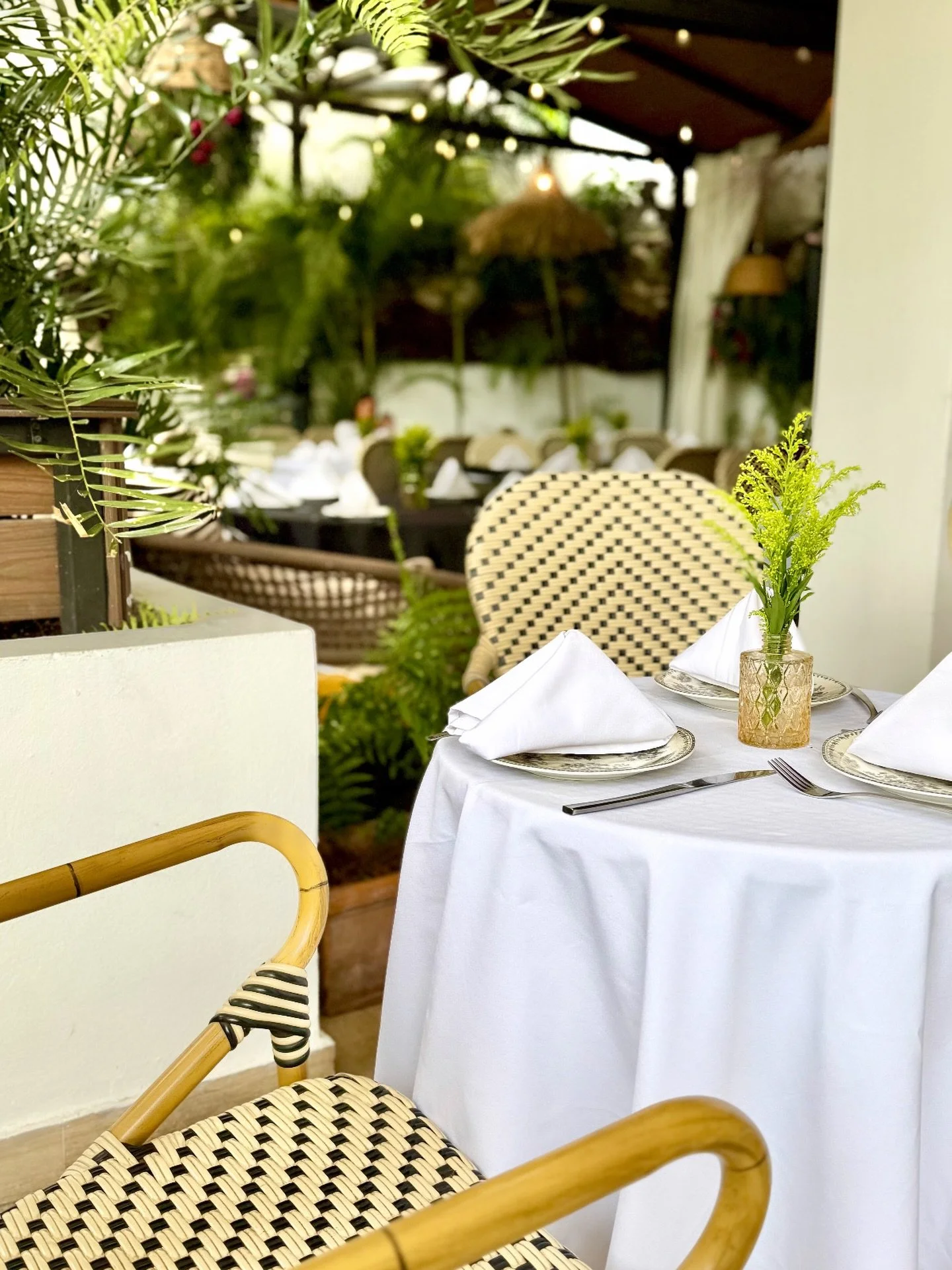 Soft linen, warm light, and just enough breeze to slow everything down.
A table set with intention.
This is how great meals begin.

#HaitiBites #LeBistro #CaribbeanVibes