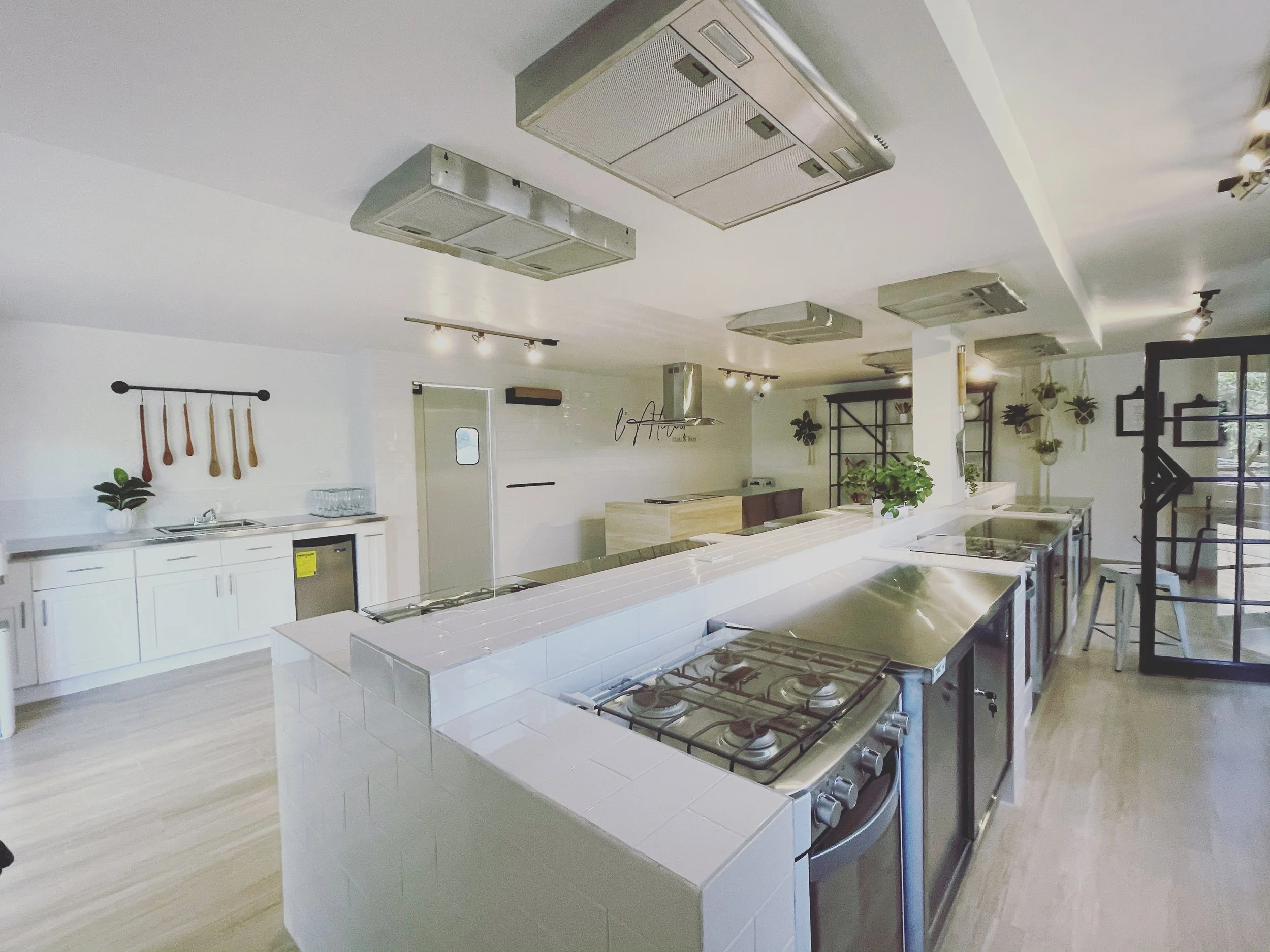 Modern commercial kitchen with stainless steel appliances, white cabinetry, hanging utensils, and potted plants.