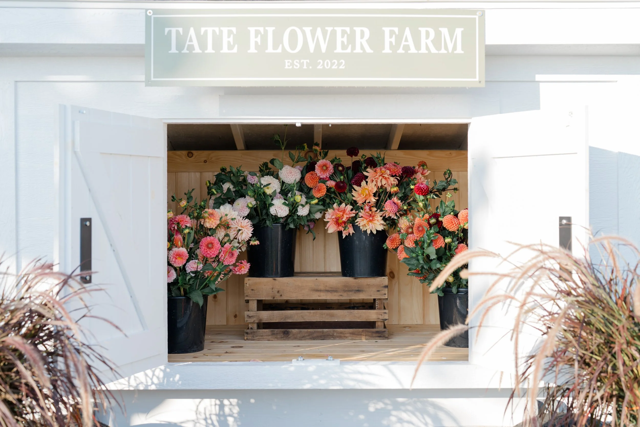 TateFarm-Sep2025--210.jpg