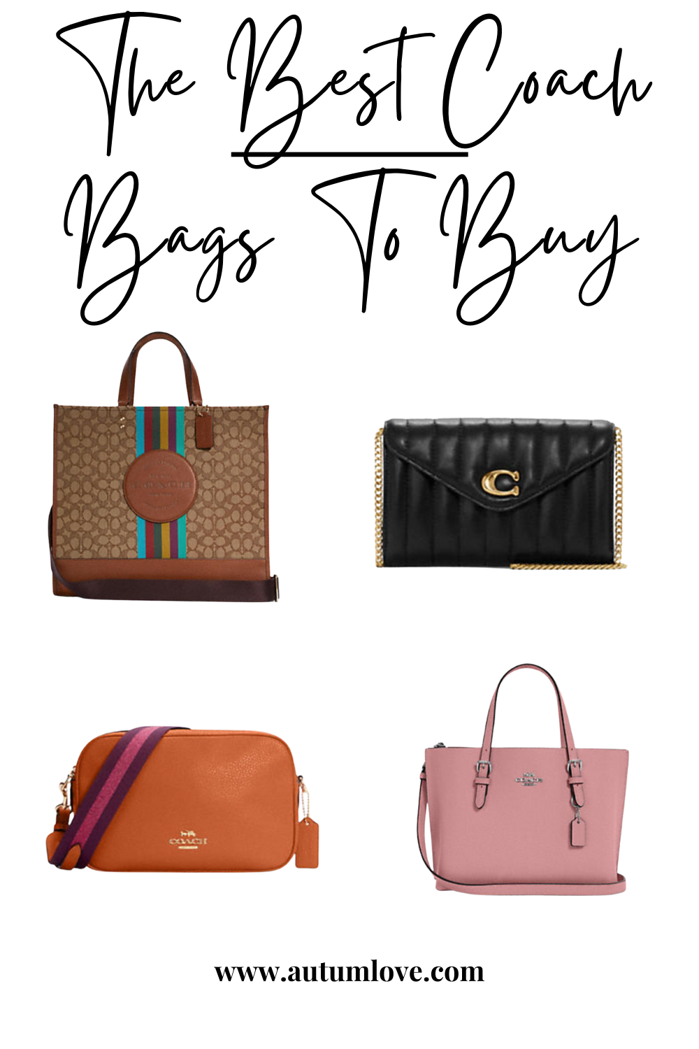 Coach Is Making A Comeback Here are The Best Coach Handbags To Buy This  Season — Autum Love