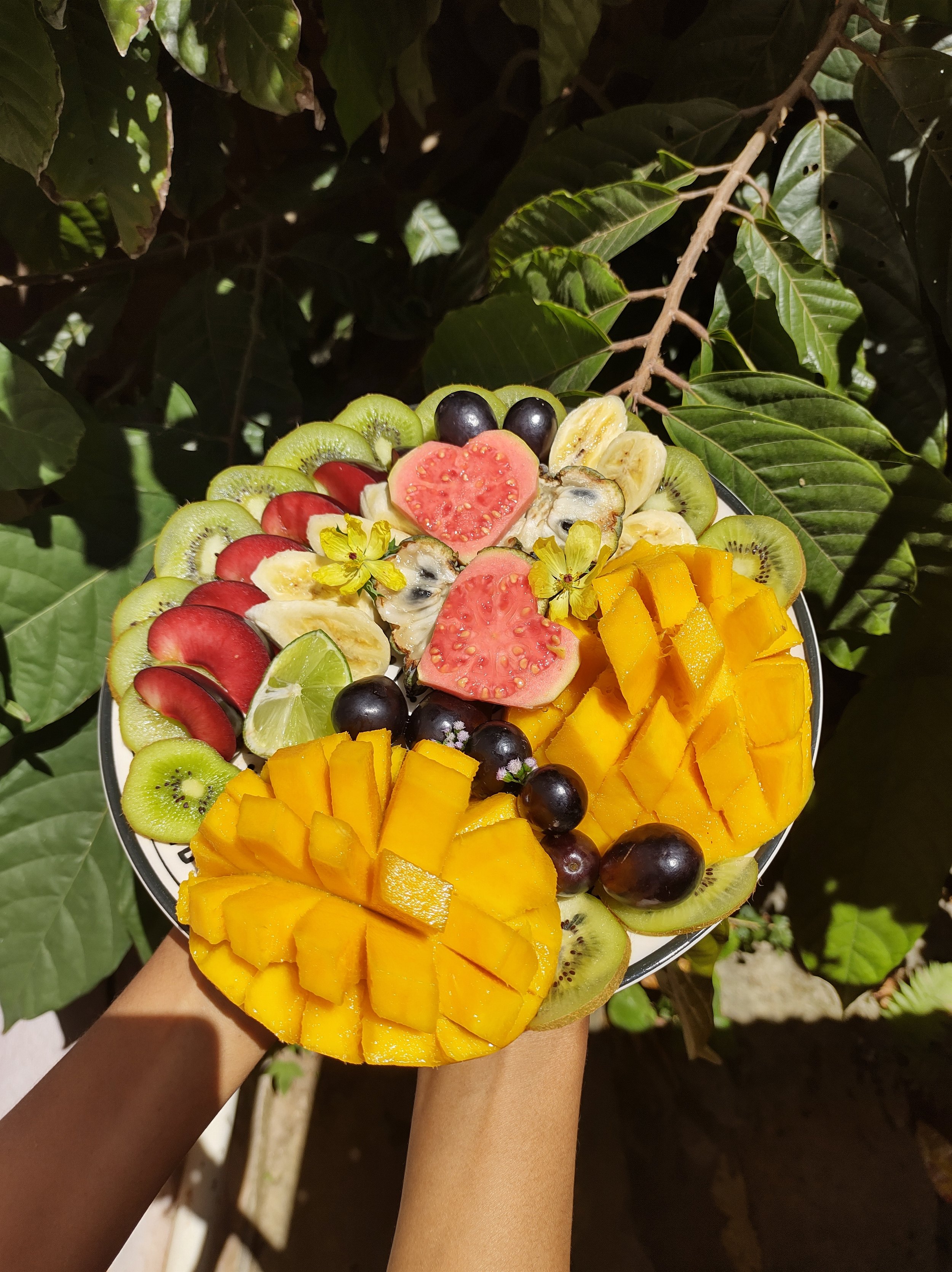 Fresh sliced fruit arranged on a small plate