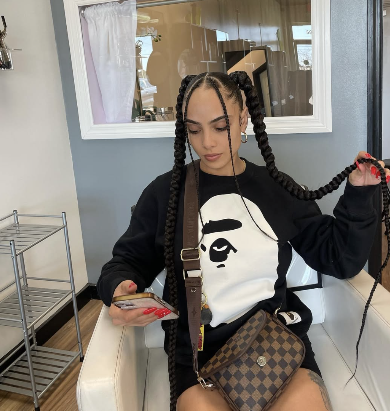 Braids styled into two low pigtails with a precise center part.