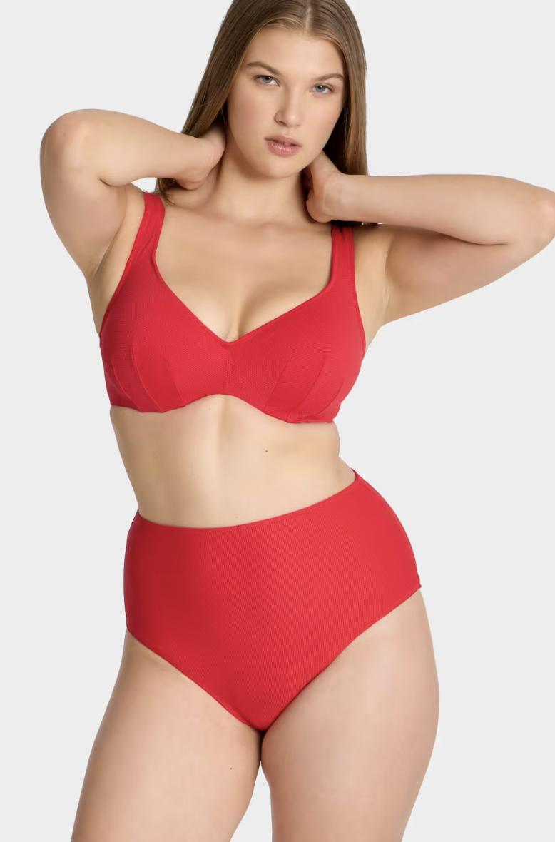 Jennifer Plunge Bikini Top $76