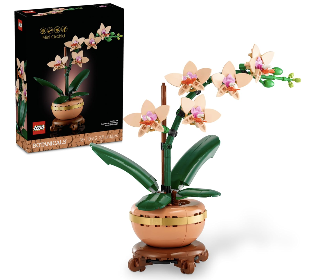 LEGO Botanicals Mini Orchid set fully assembled in a terracotta-colored pot alongside its product box set against a white background.