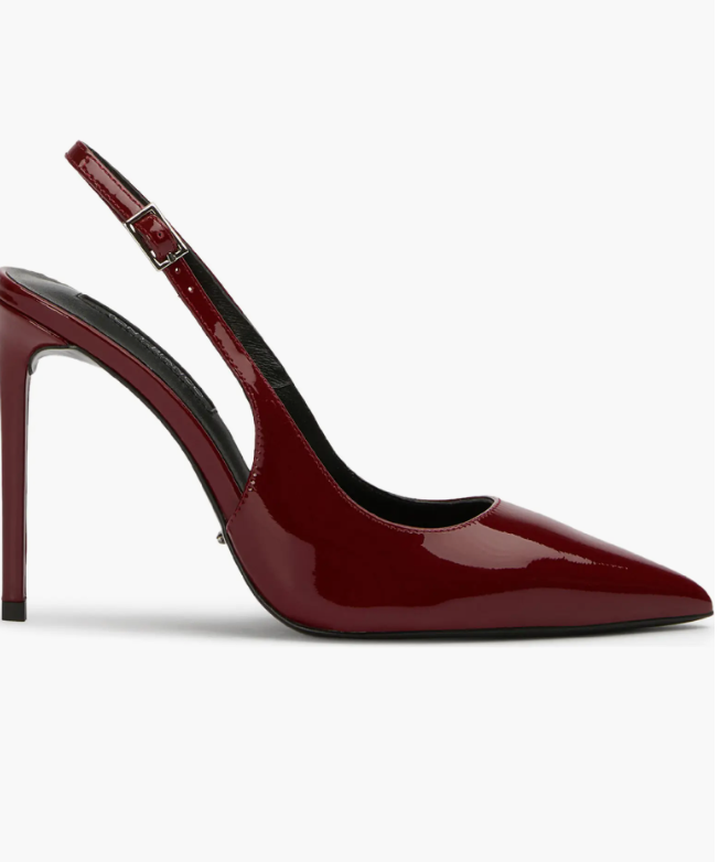 Asti Slingback Pointed Toe Pump (Women) Tony Bianco