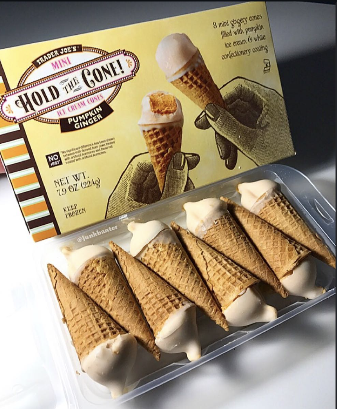 Trader Joe's Hold the Cone mini ice cream cones