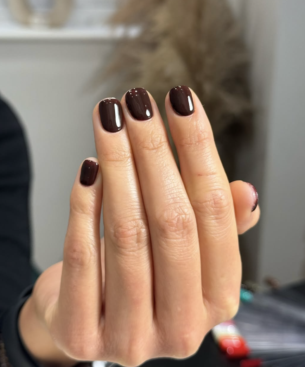 Close-up of short squoval nails featuring a glossy dark espresso brown manicure.