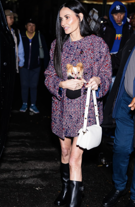 Demi Moore wearing a textured purple and black tweed jacket, illustrating how high-contrast, cool-toned patterns harmonize with the True Winter season.