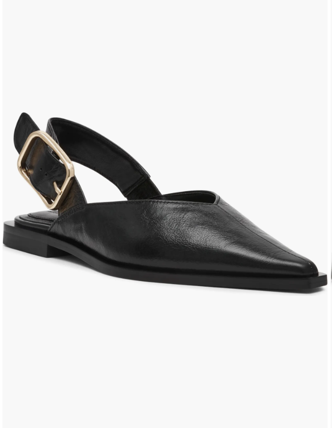 A close-up side view of a Steve Madden Shay pointed-toe slingback flat in black leather, featuring a gold buckle on the heel strap.