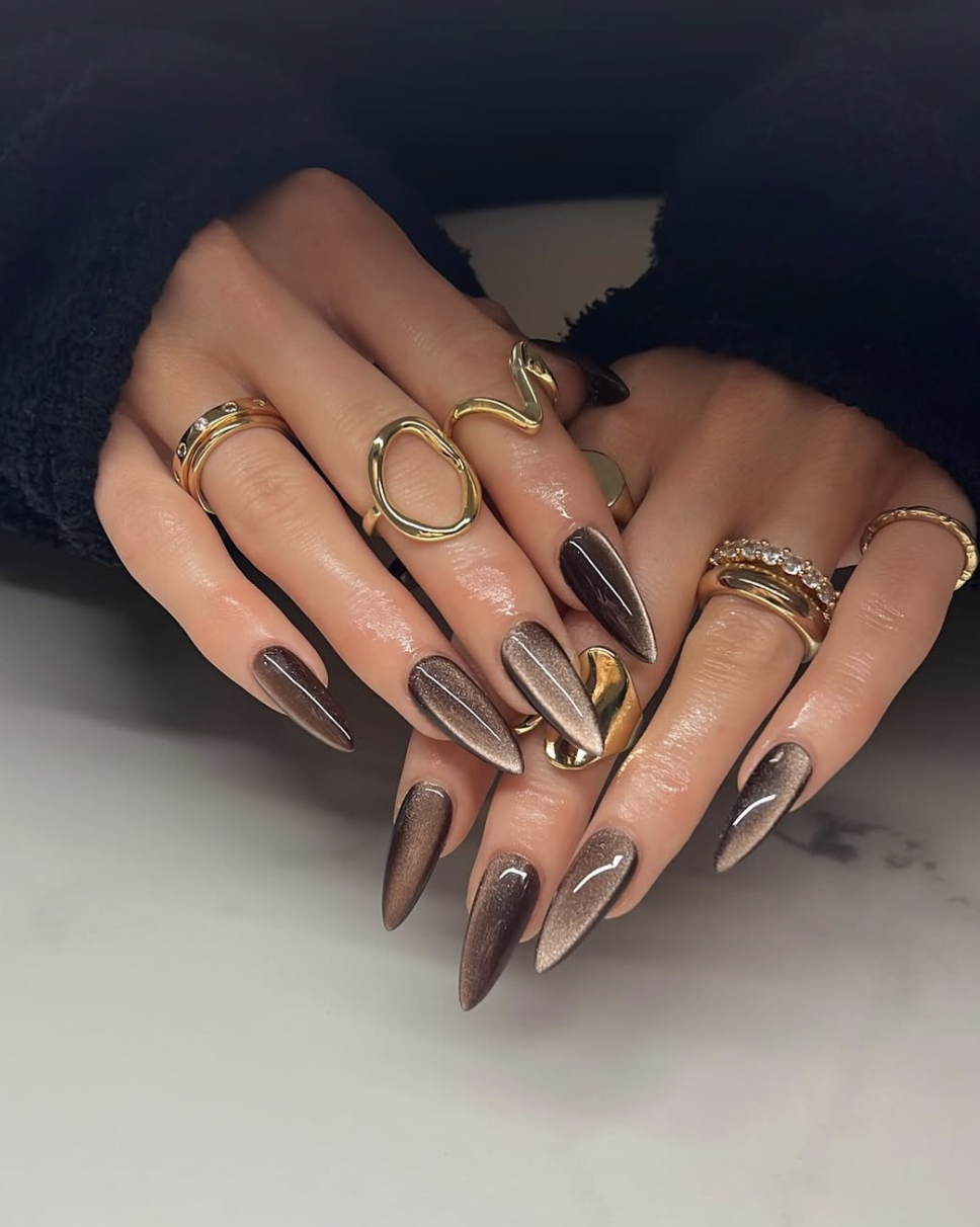 Long, almond-shaped nails featuring a deep espresso brown magnetic cat-eye shimmer with a velvety, light-catching chrome finish.