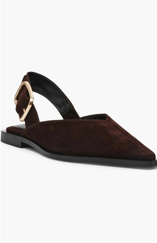A pair of dark brown suede pointed-toe slingback flats by Steve Madden, featuring a gold buckle detail on the strap and a thin black sole.
