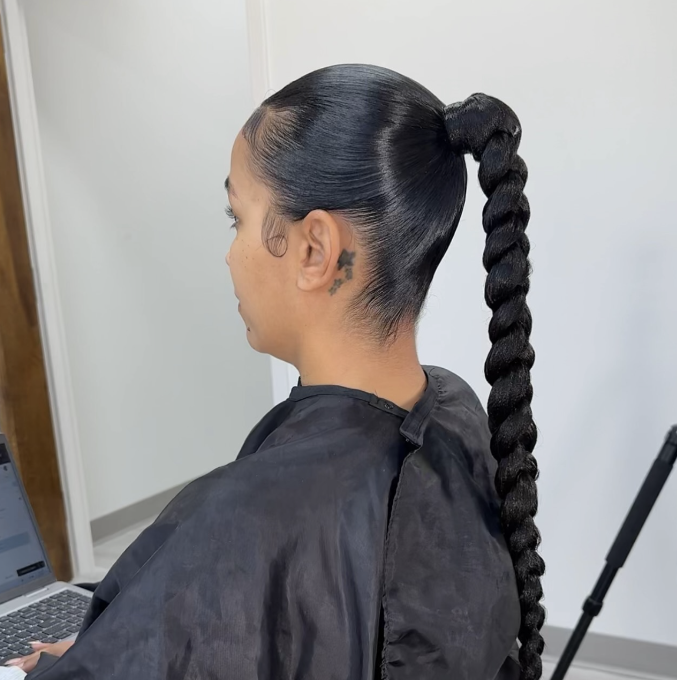 Long braids gathered into a sleek low ponytail with a clean center part.
