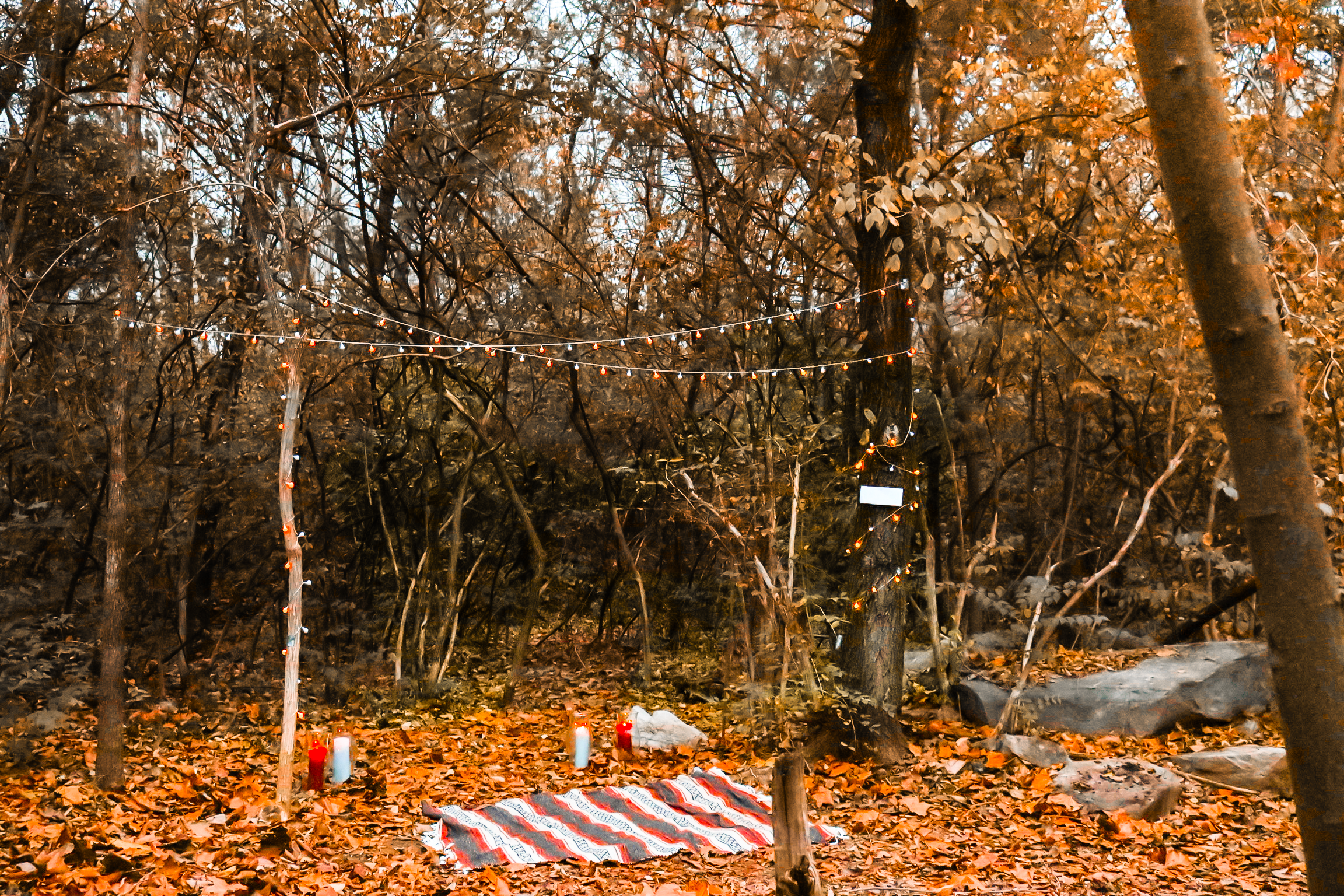 lauren and tommy 7.png