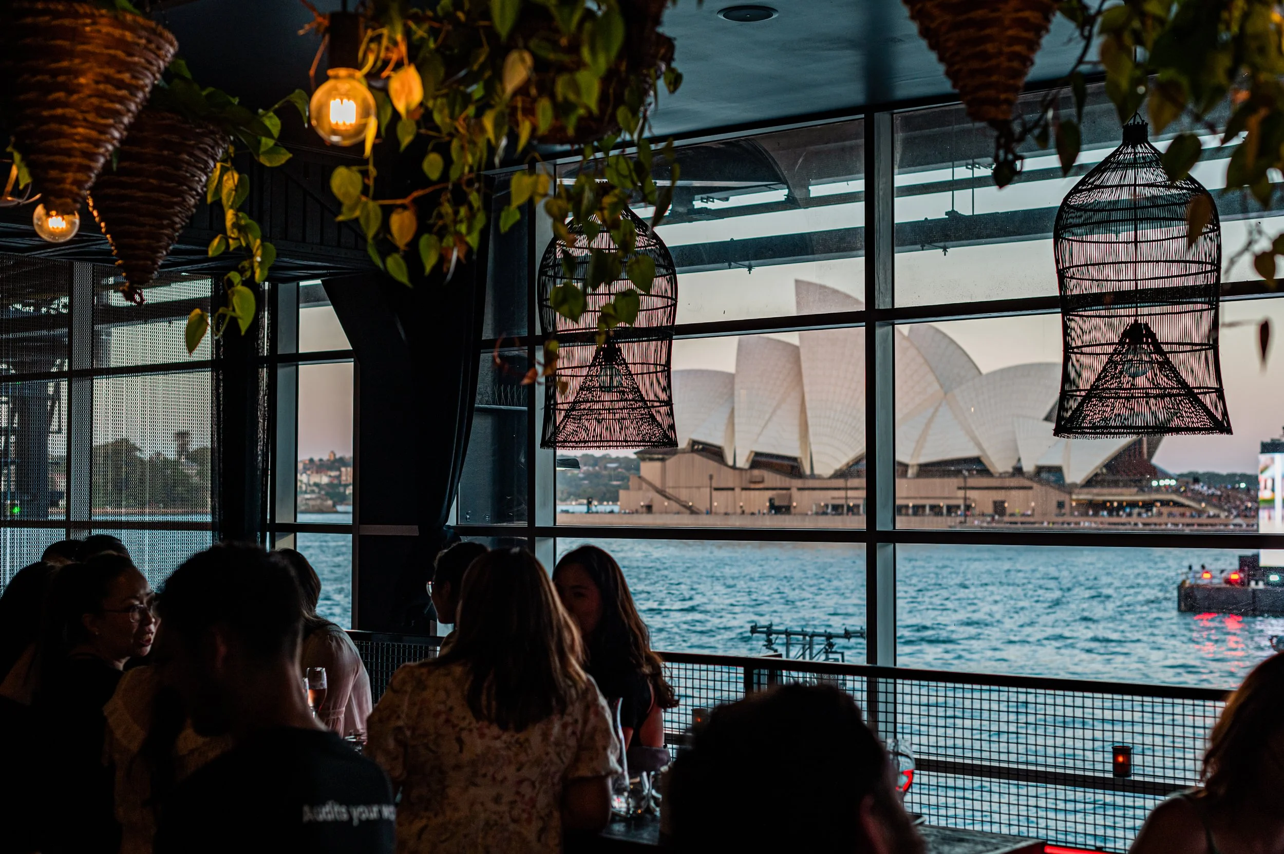 sydney cruise bar