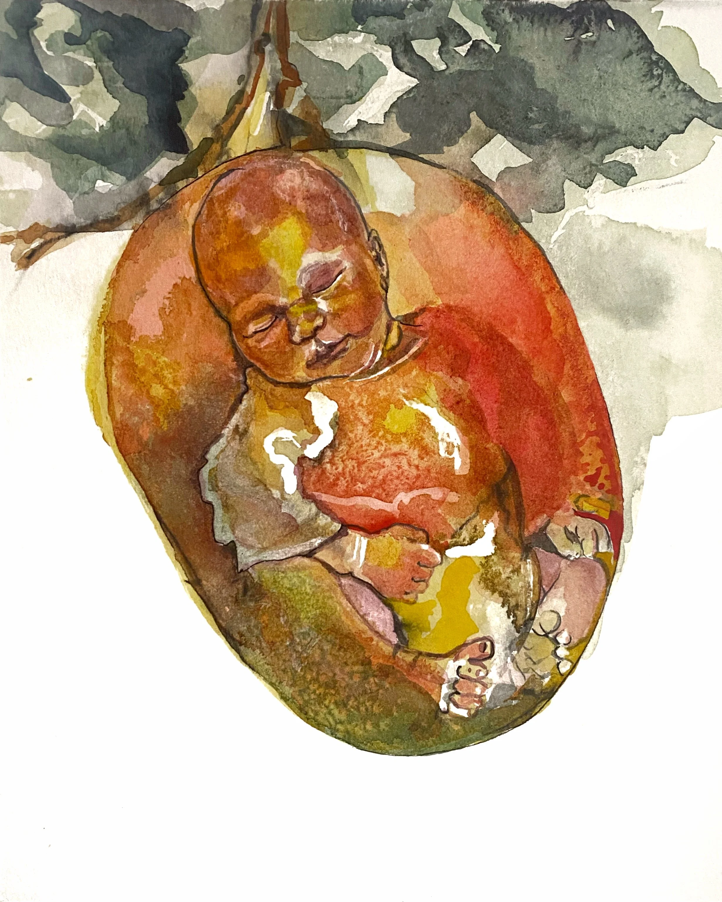 Mangifera 1.JPG