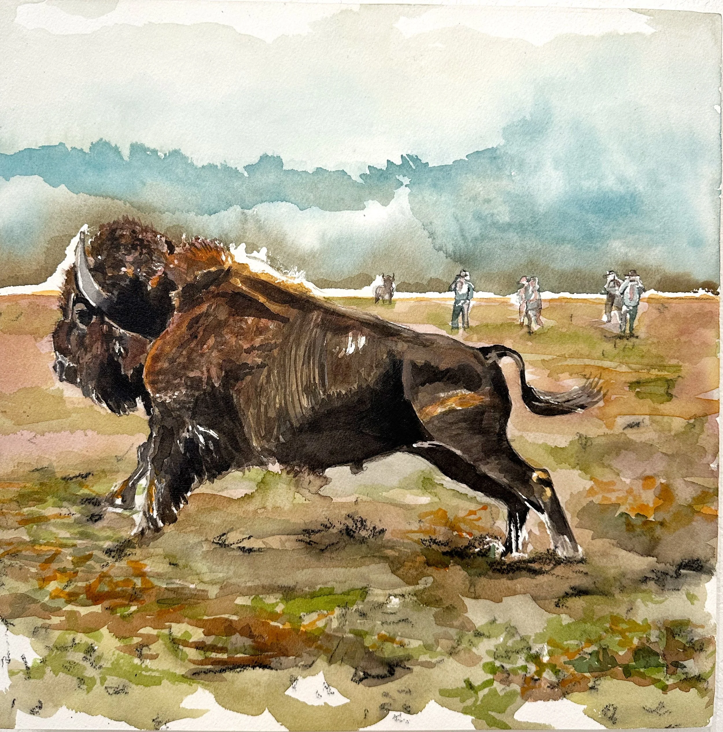 Rewilding 2