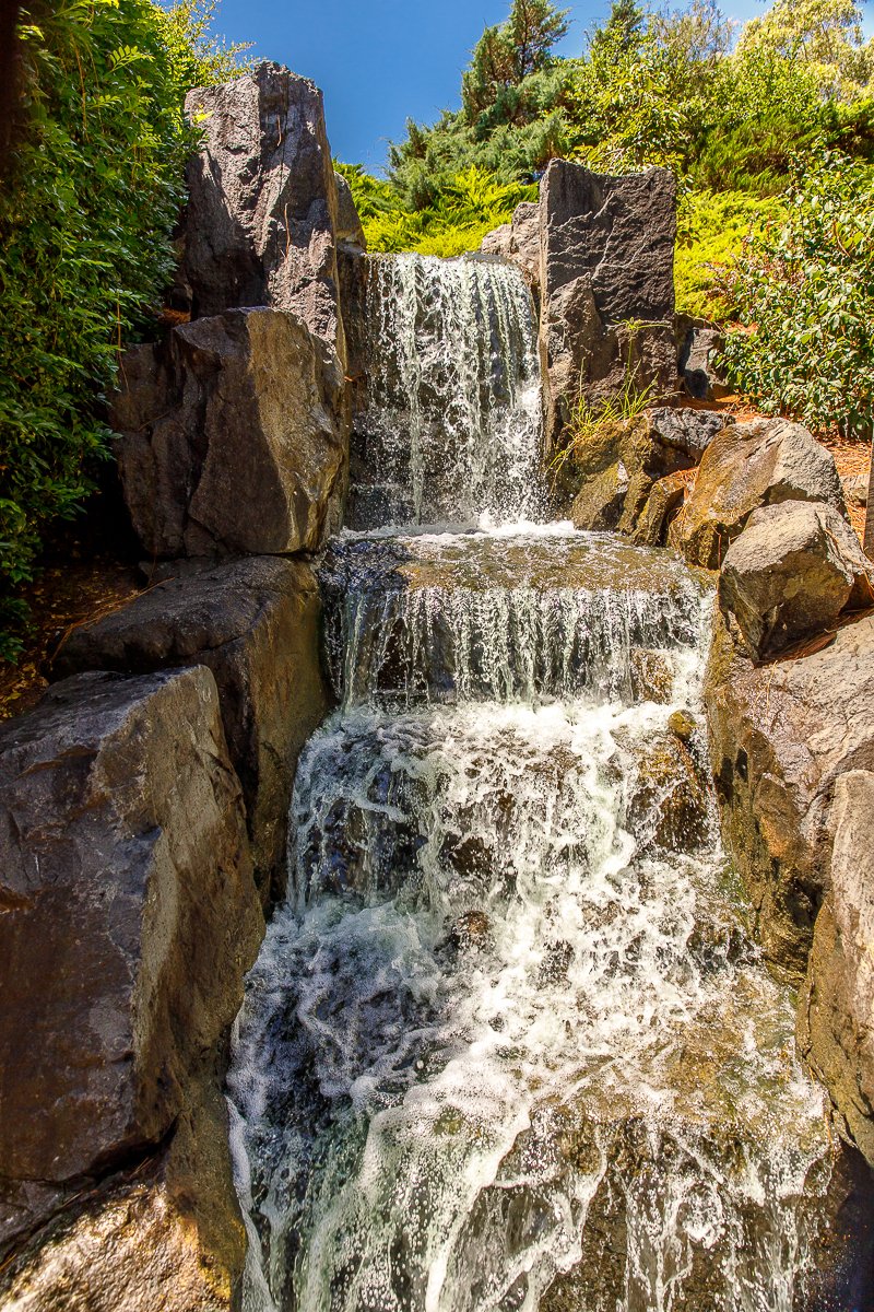 Auburn Botanic Gardens-14.jpg