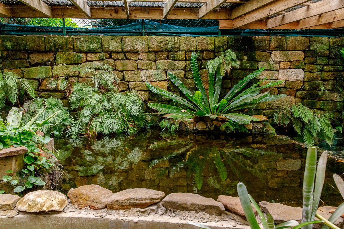 Lisgar Gardens-07.jpg