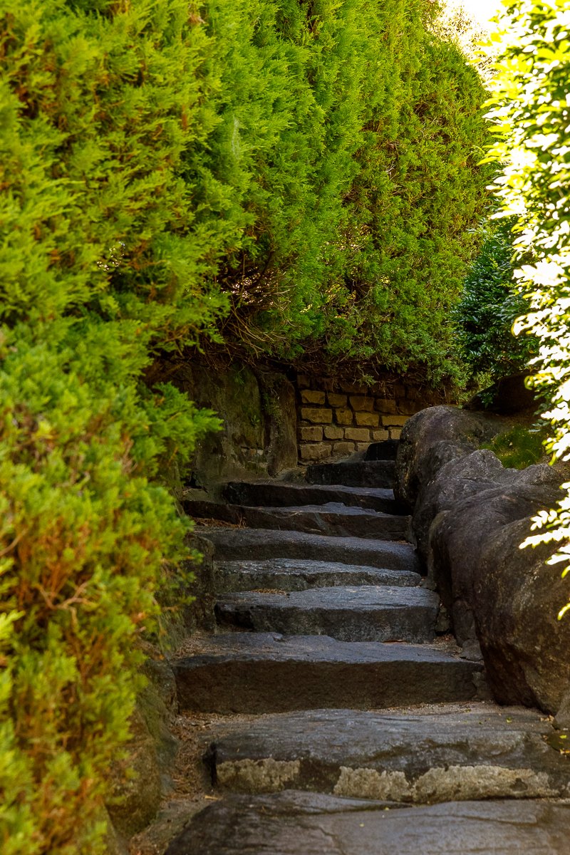 Auburn Botanic Gardens-16.jpg