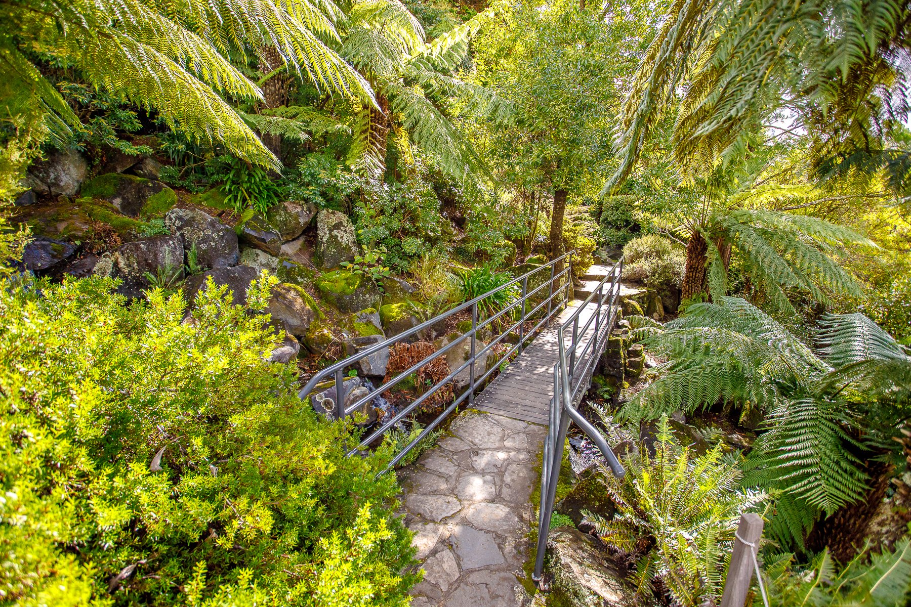 Mt Tomah Botanical Gardens-17.jpg