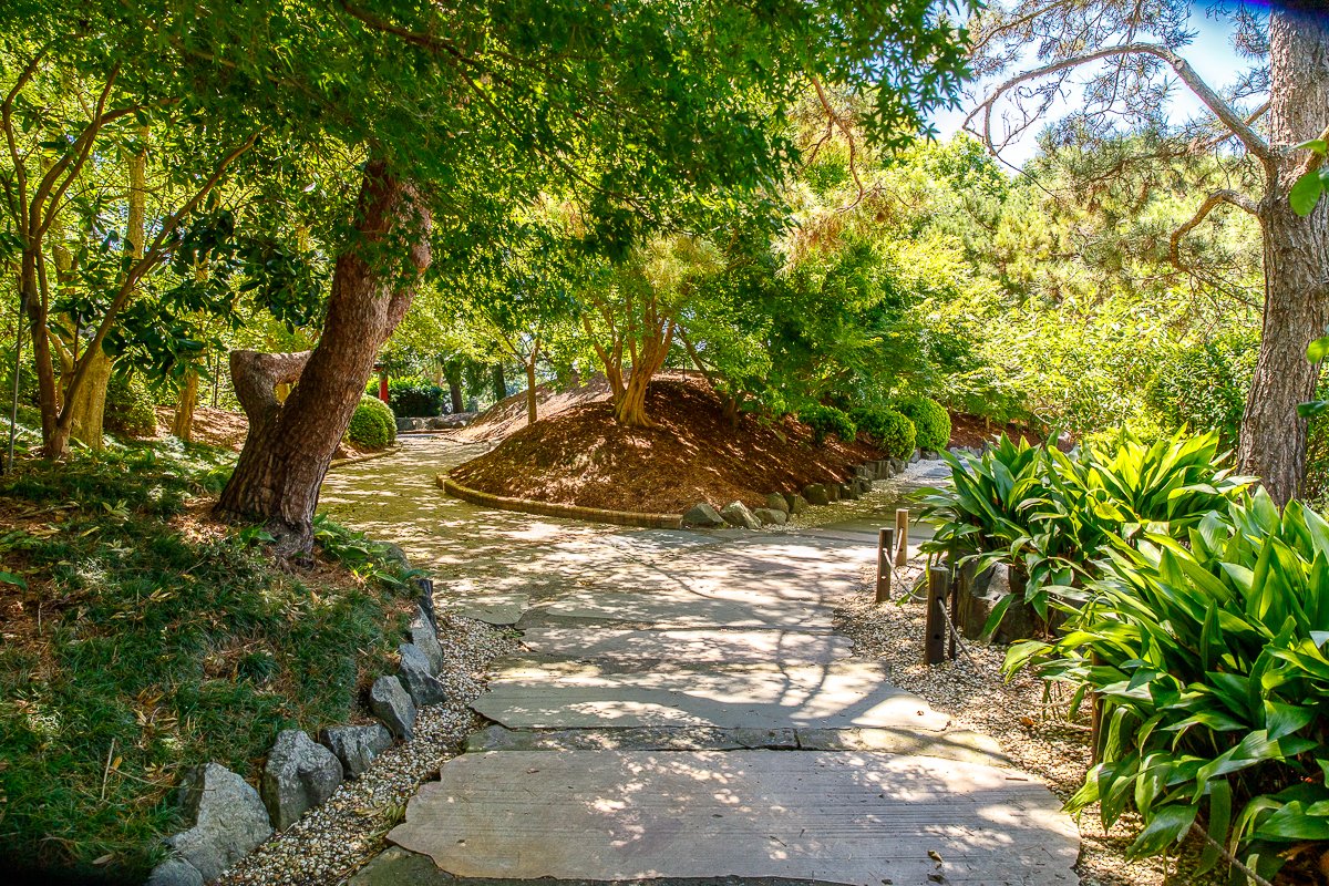 Auburn Botanic Gardens-29.jpg