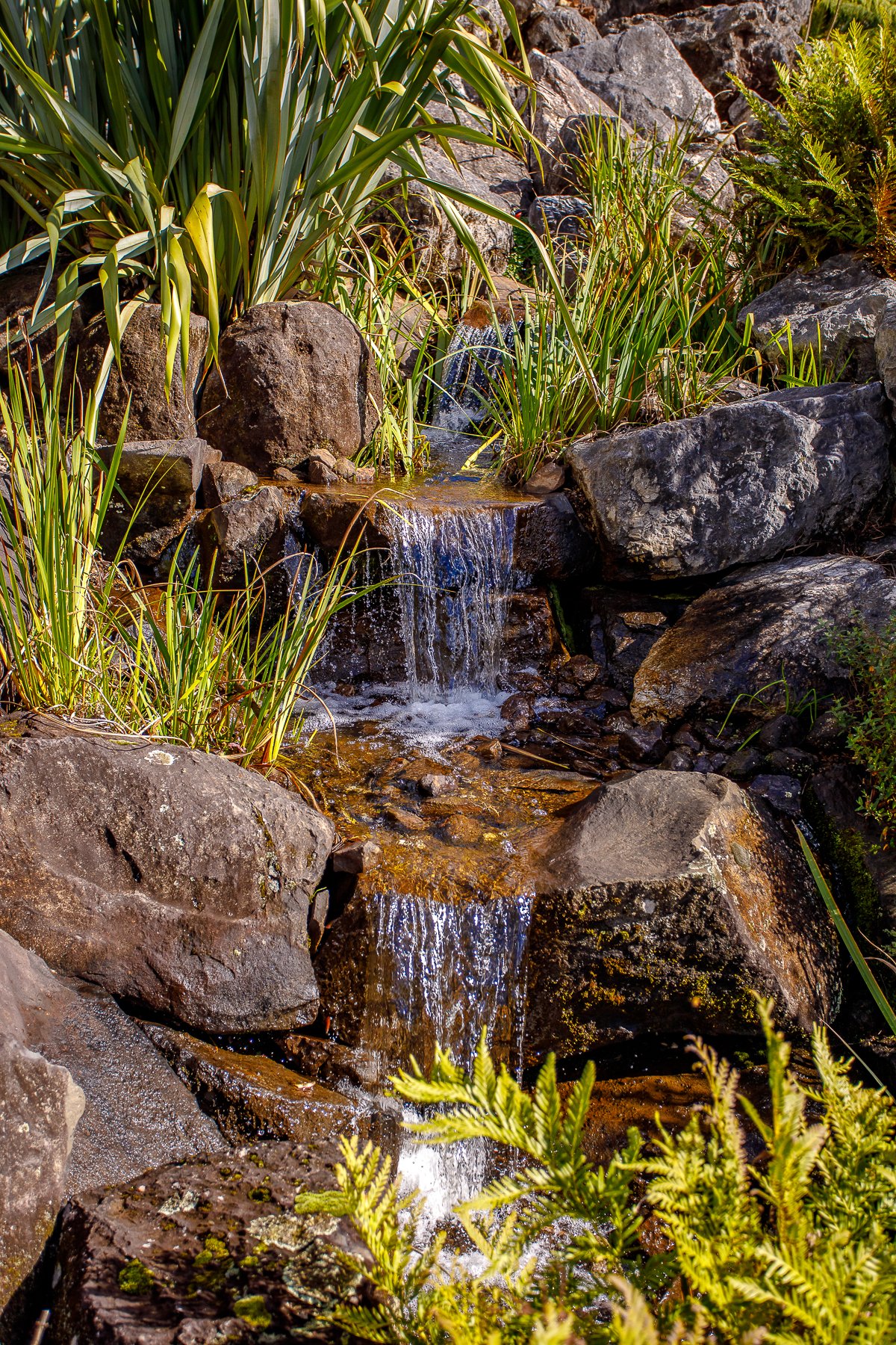 Mt Tomah Botanical Gardens-22.jpg