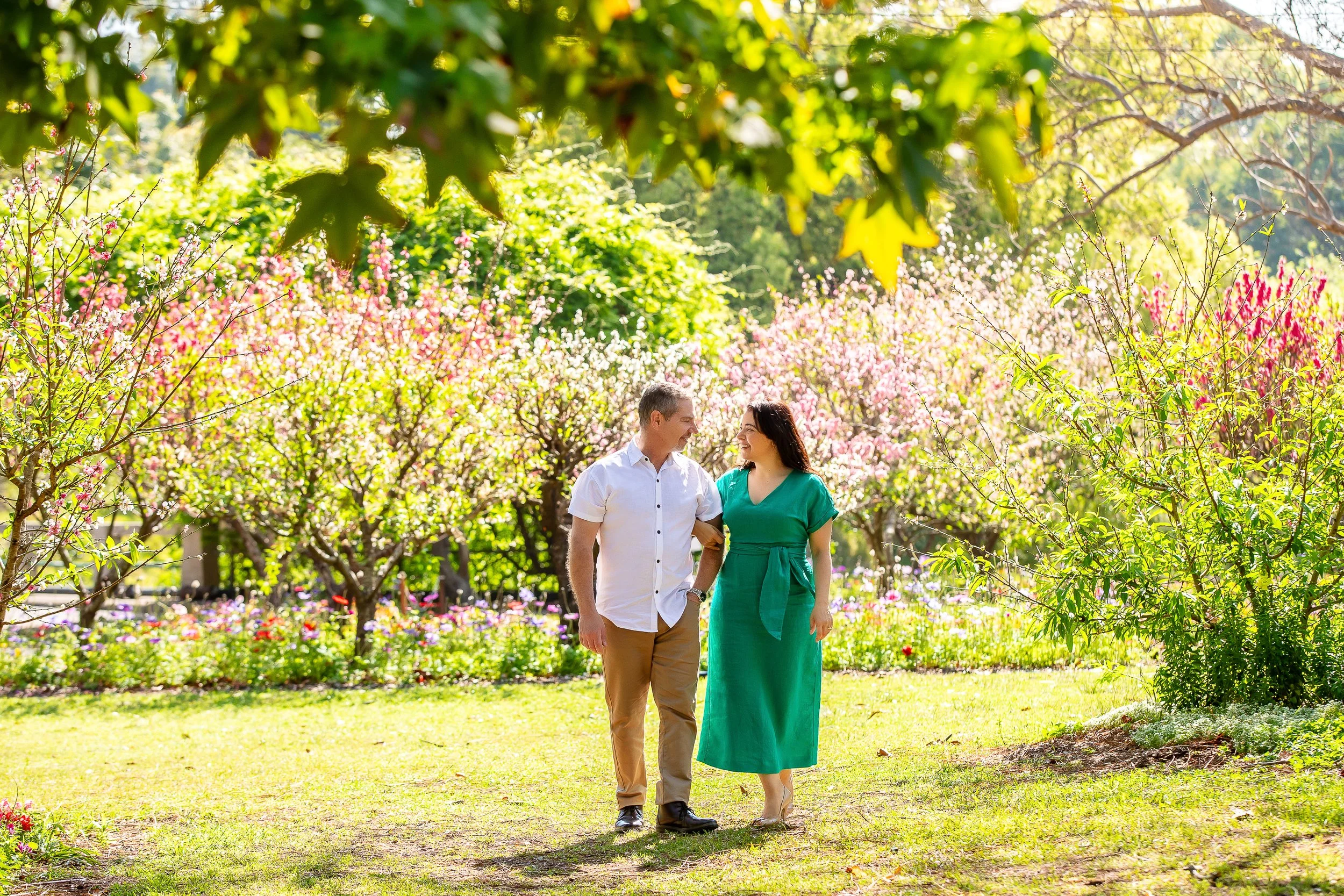 A middle aged couple walking in the blossoms at Parramatta Park