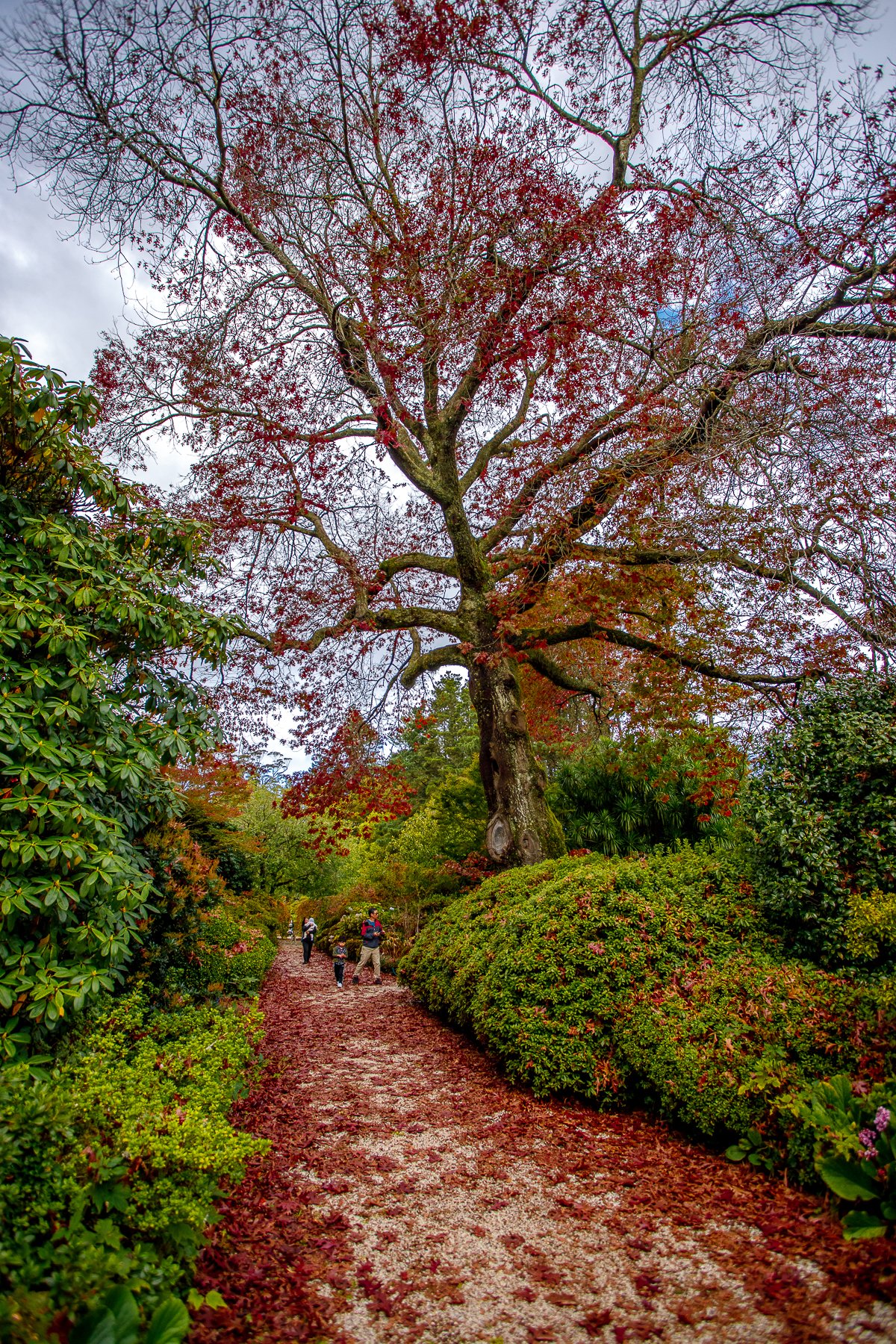 Bebeah Gardens-005.jpg