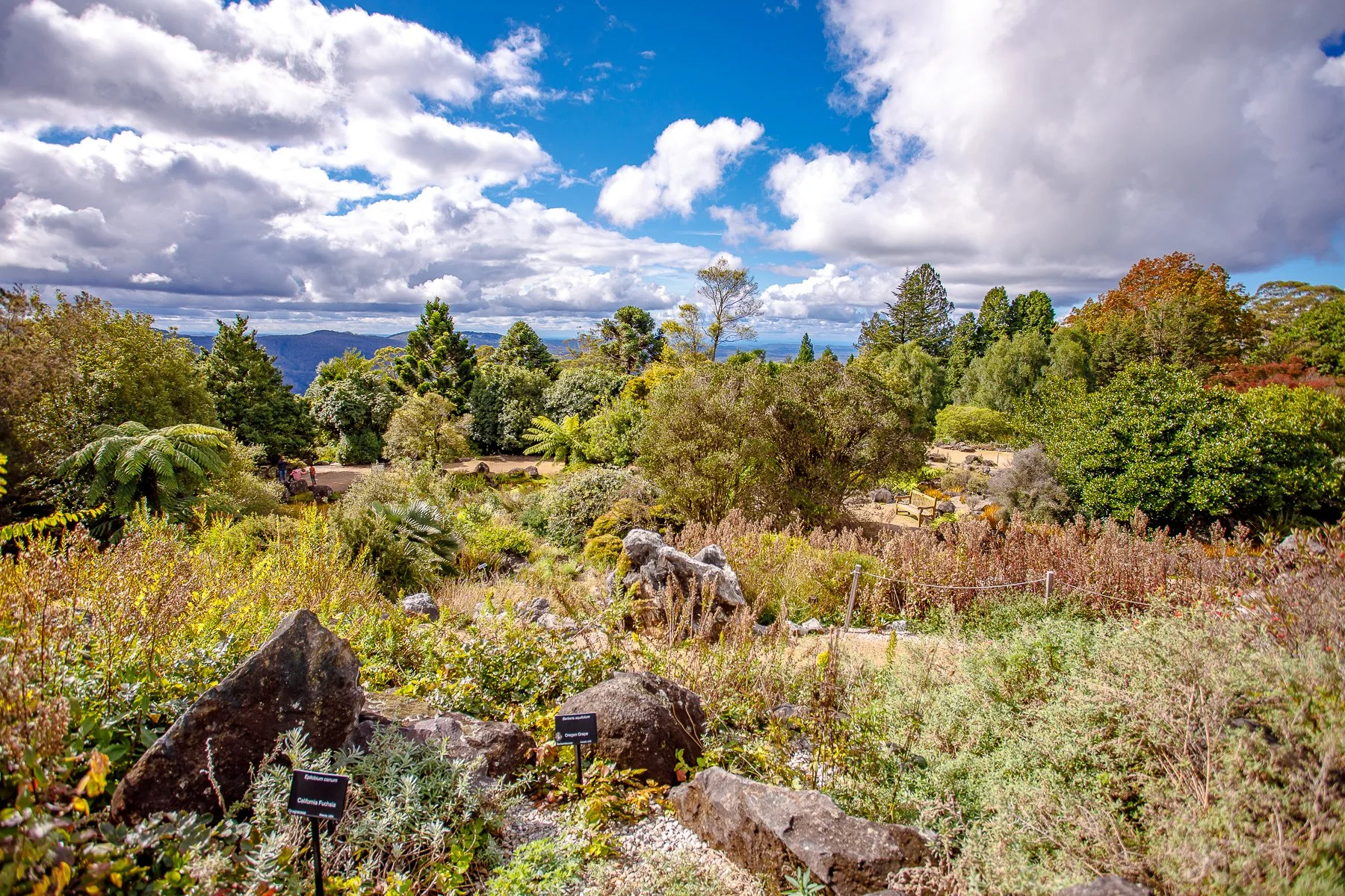 Mt Tomah Botanical Gardens-19.jpg