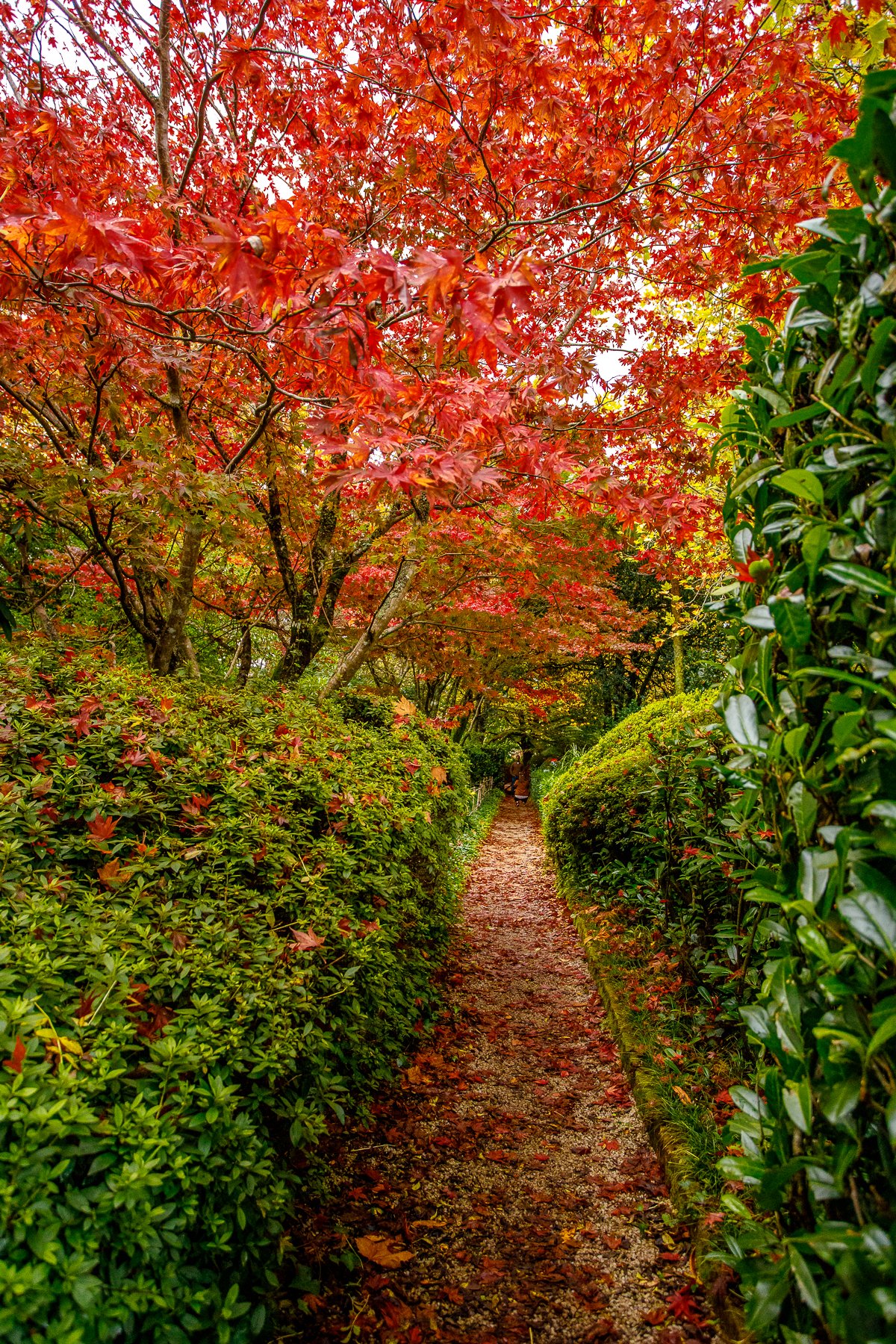 Bebeah Gardens-003.jpg