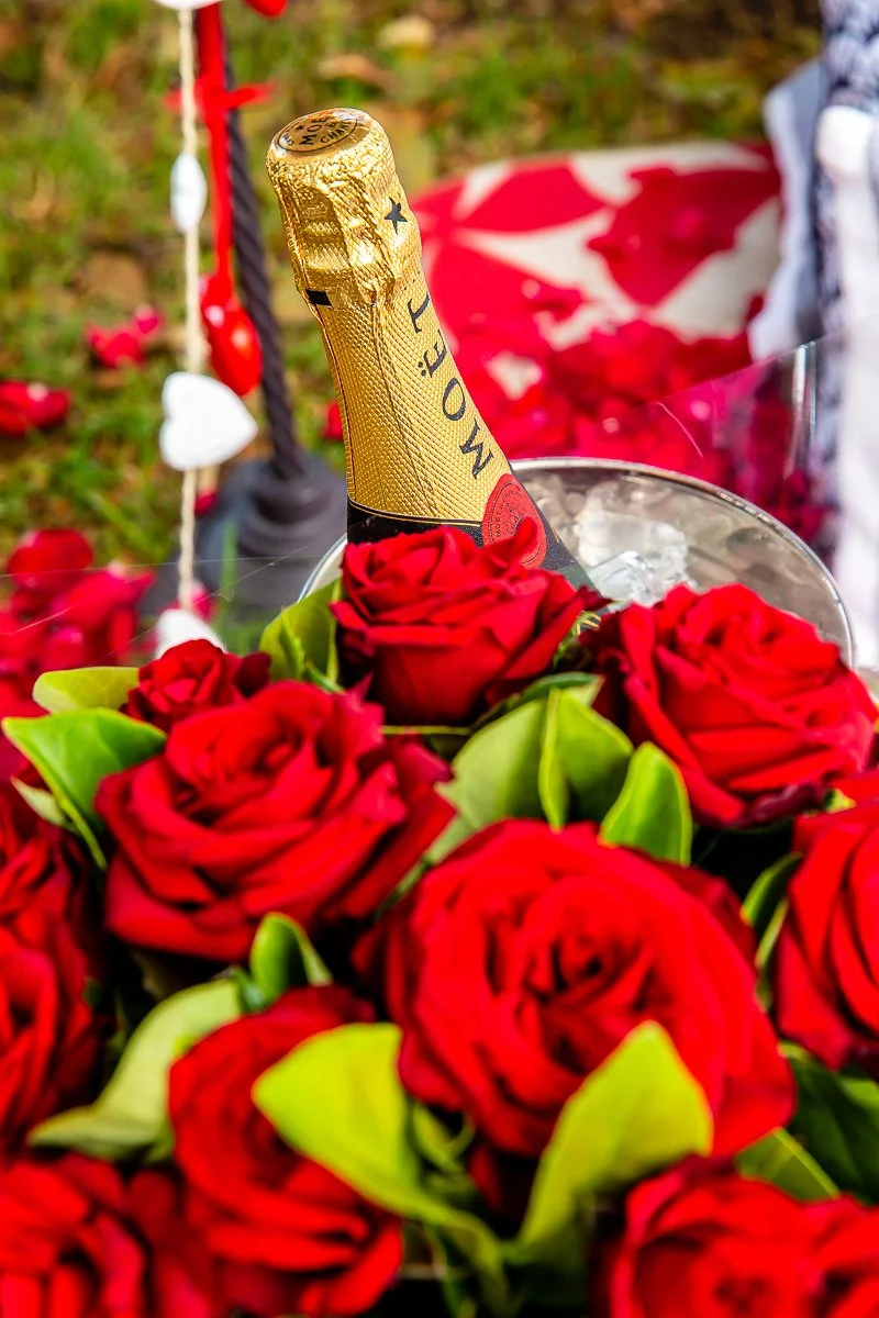 Party Styling-227.jpg