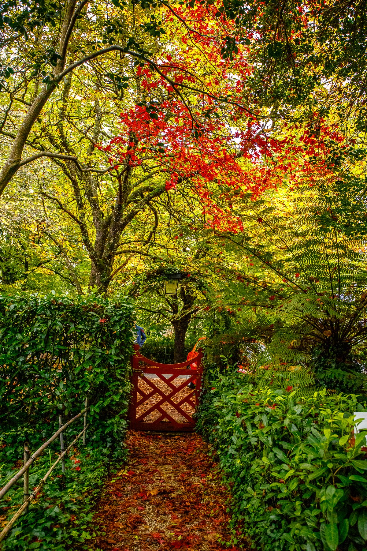 Bebeah Gardens-020.jpg
